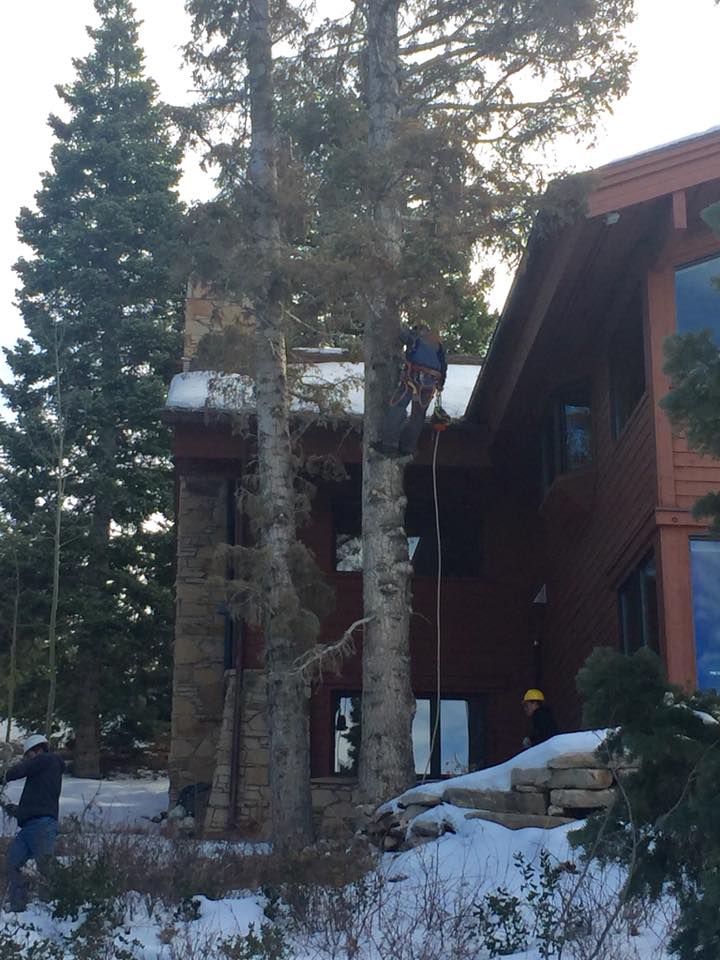 apartment addition