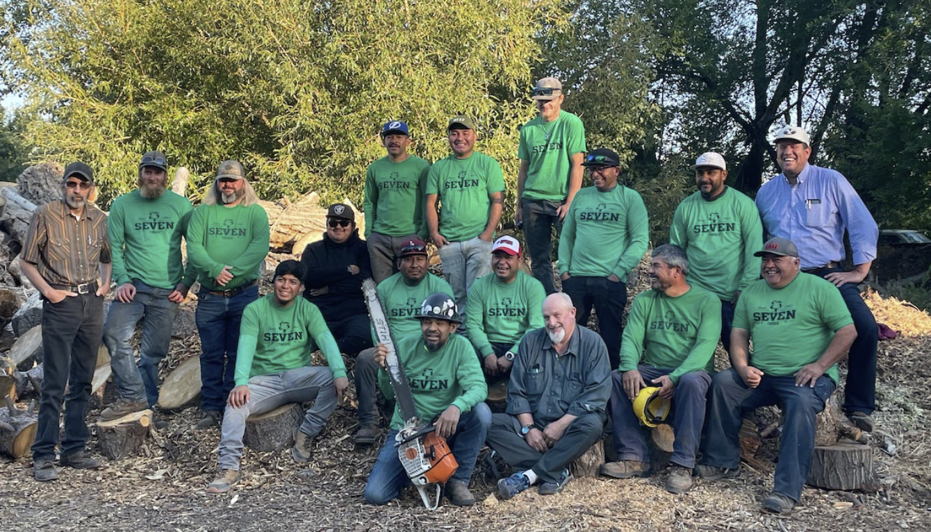 7 tree crew