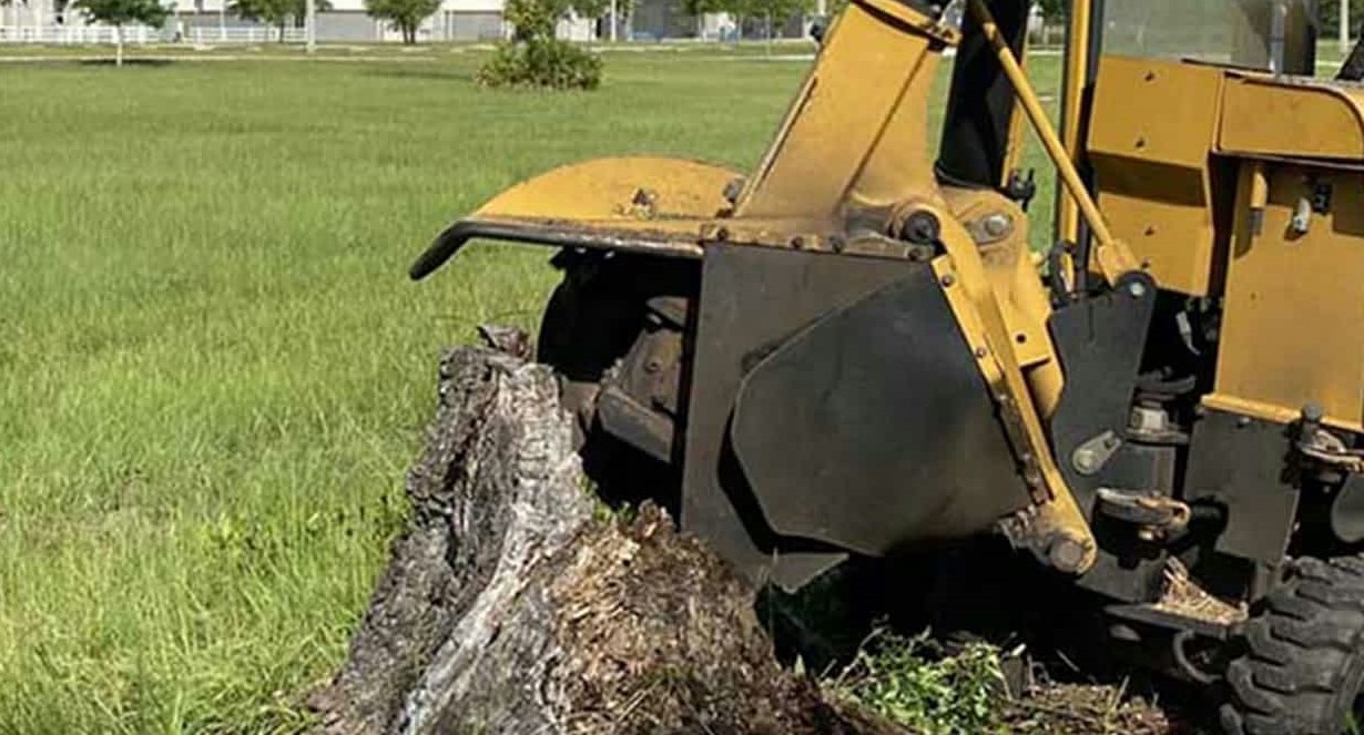 stump grinding pov